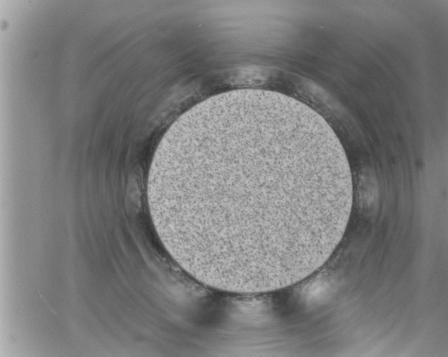 X0000061150370200512092005