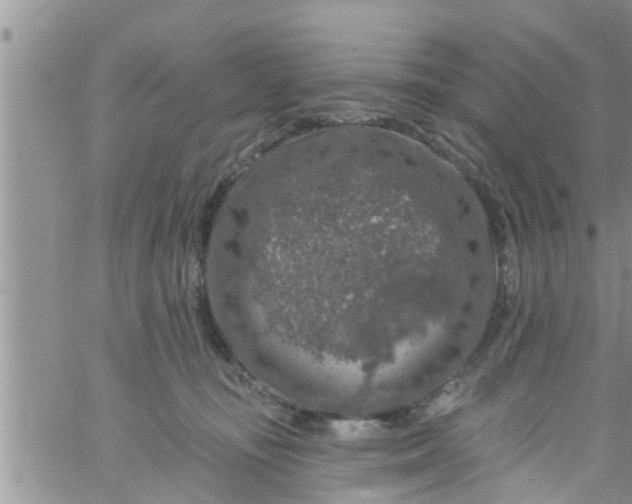 X0000061150371200512092005