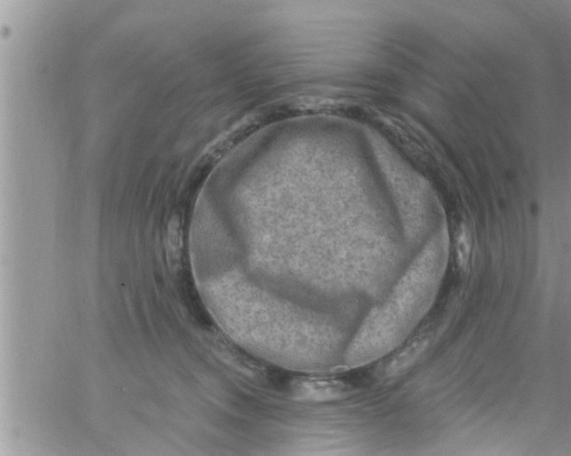 X0000061150372200512092005