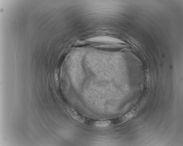 X0000061150373200512092005