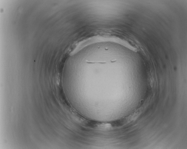 X0000061150374200512092005