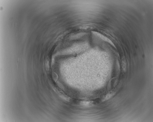 X0000061150375200512092005