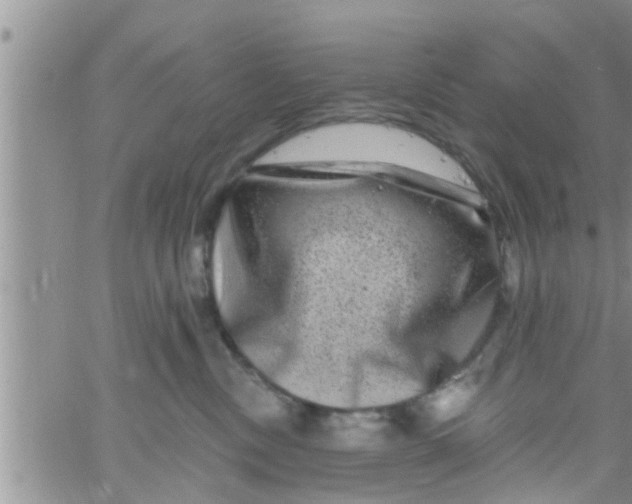 X0000061150378200512092005