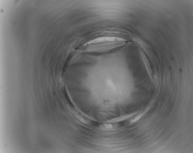 X0000061150381200512092005