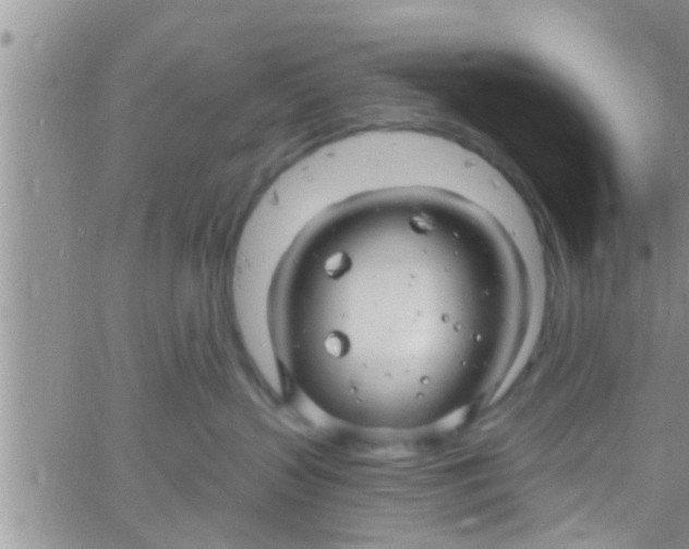 X0000061150383200512092005