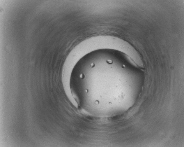 X0000061150384200512092005