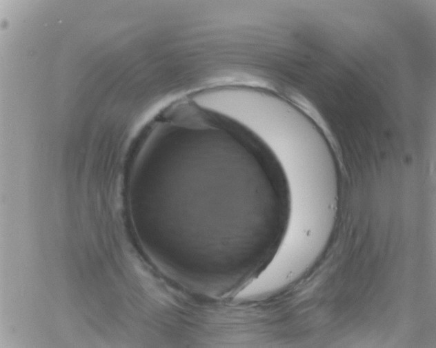 X0000061150387200512092005