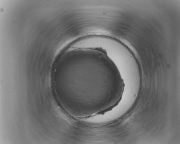 X0000061150391200512092005