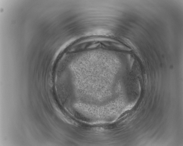 X0000061150392200512092004