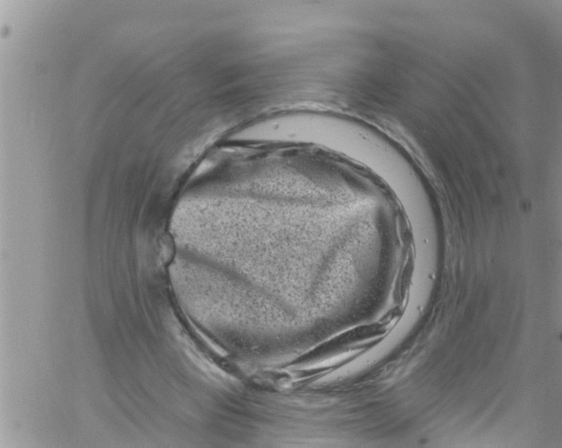 X0000061150393200512092004