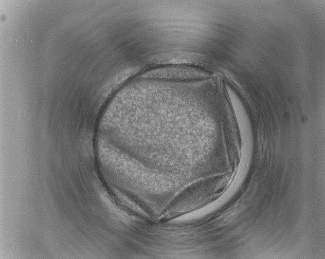 X0000061150394200512092004