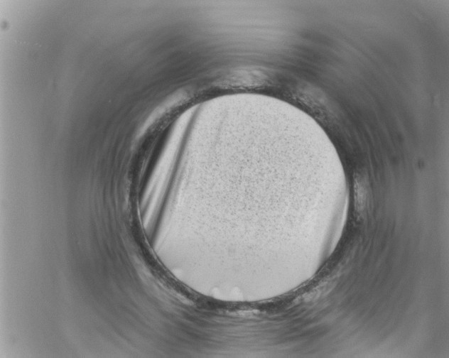 X0000061150396200512092004