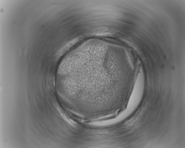 X0000061150397200512092004