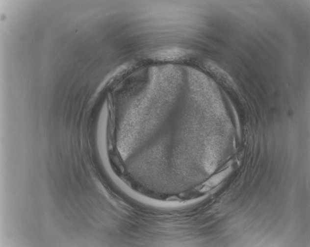 X0000061150400200512092004