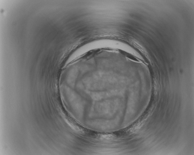 X0000061150401200512092004