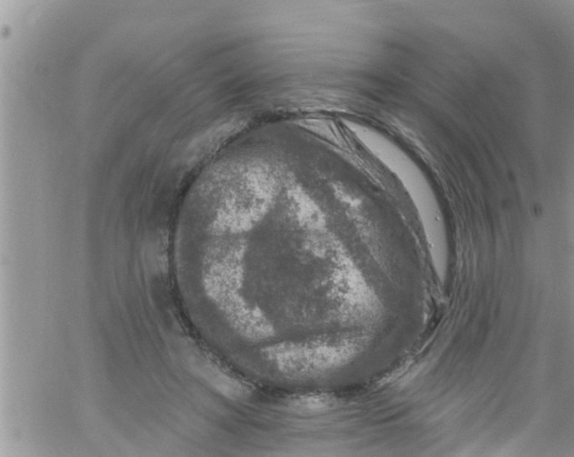 X0000061150402200512092004