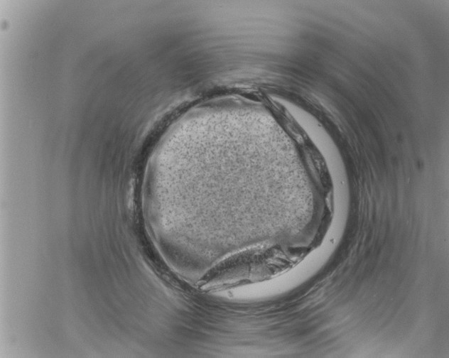 X0000061150404200512092004