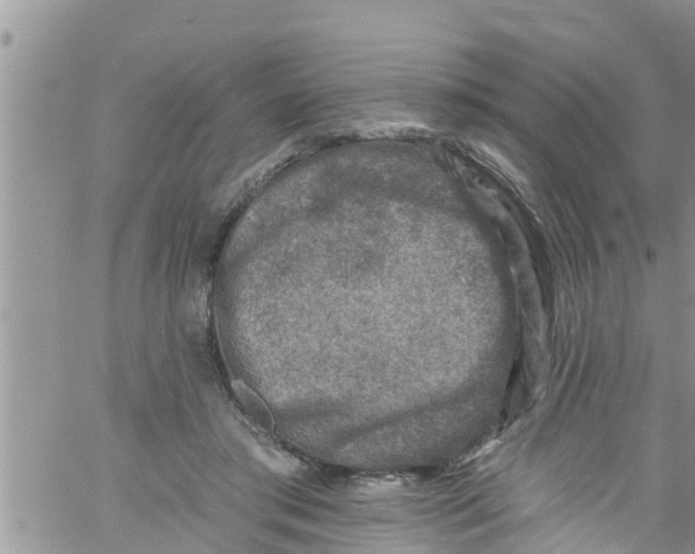 X0000061150405200512092004