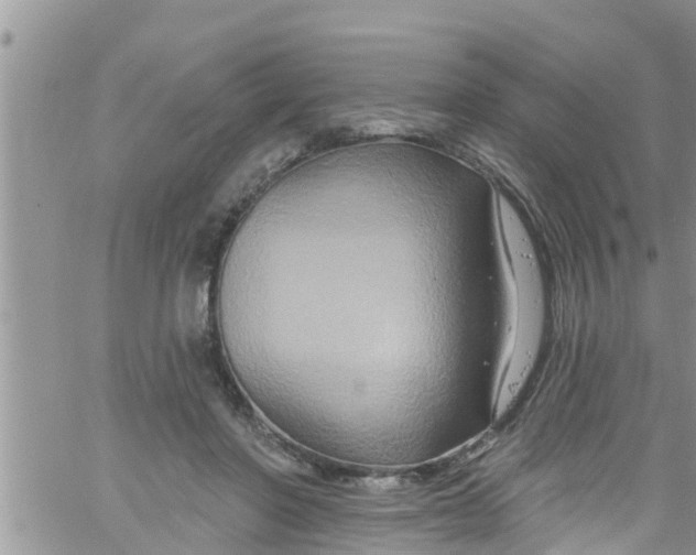 X0000061150406200512092004