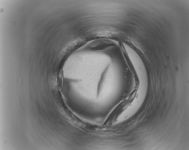 X0000061150407200512092004