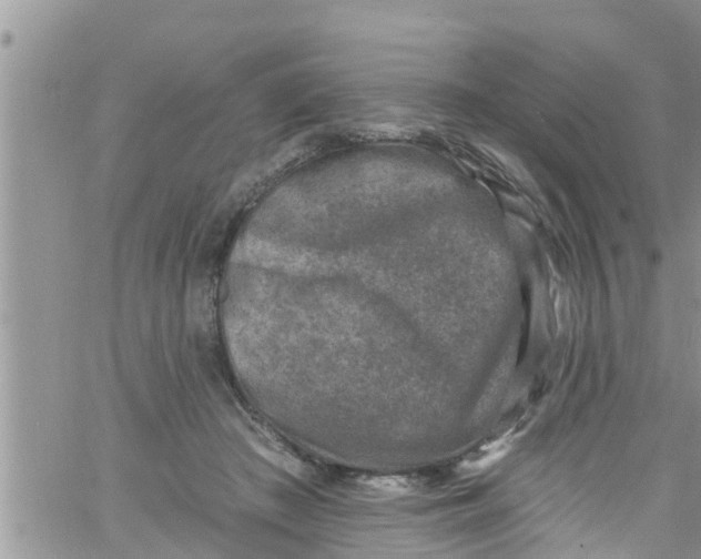 X0000061150409200512092004