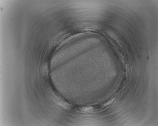 X0000061150410200512092004