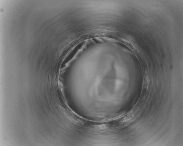 X0000061150411200512092004