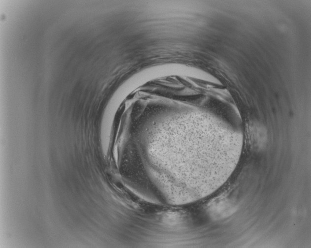 X0000061150412200512092004