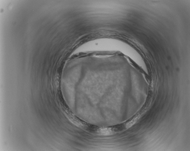 X0000061150413200512092004