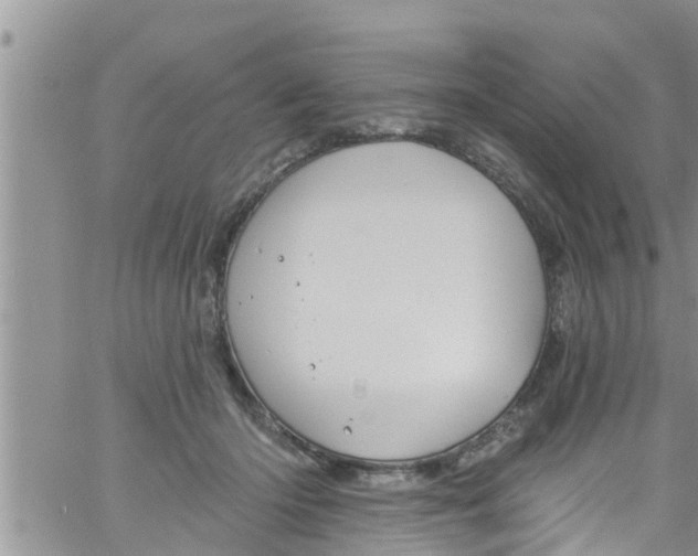 X0000061150414200512092004