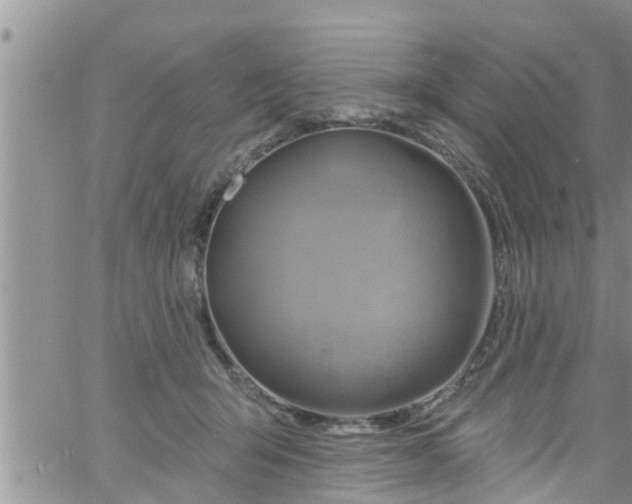 X0000061150415200512092004