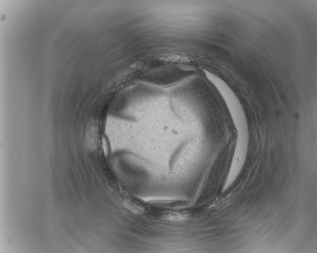 X0000061150416200512092004