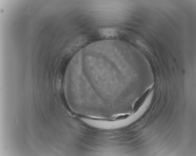 X0000061150417200512092004