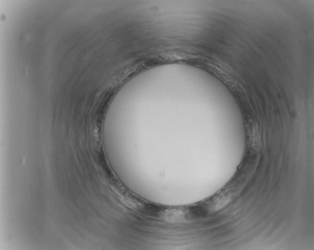 X0000061150418200512092004