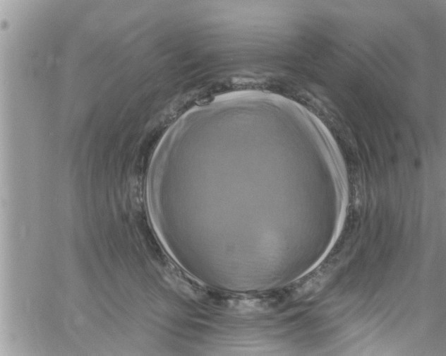 X0000061150419200512092004