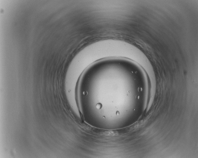 X0000061150421200512092004