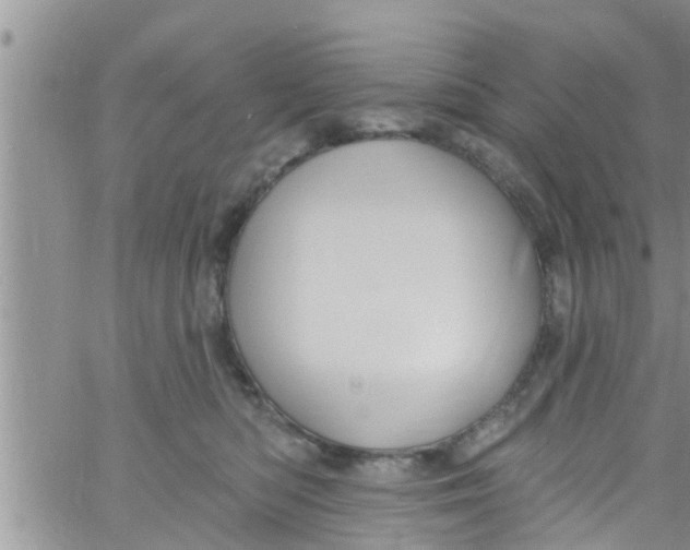 X0000061150422200512092004