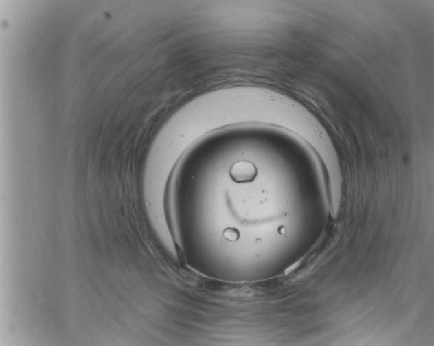 X0000061150423200512092004