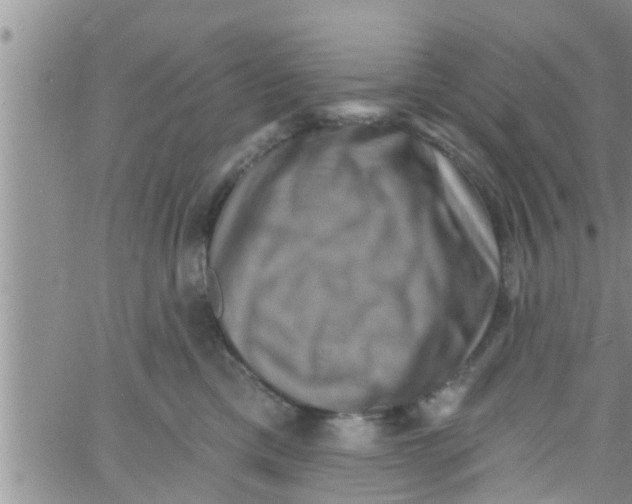 X0000061150425200512092004