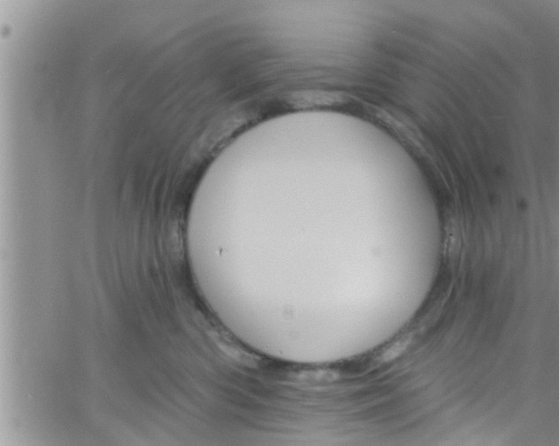 X0000061150426200512092004