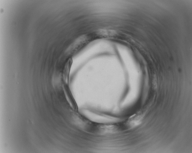 X0000061150428200512092004