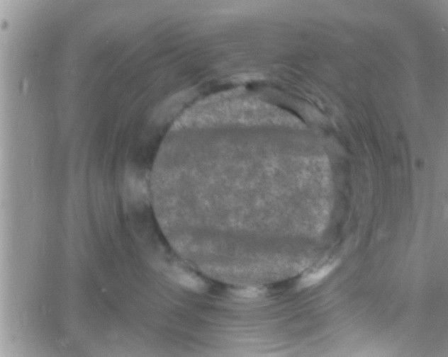 X0000061150432200512092004