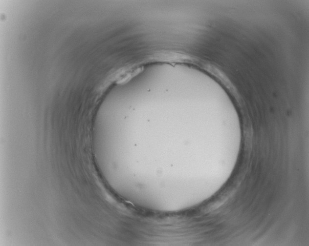 X0000061150433200512092003