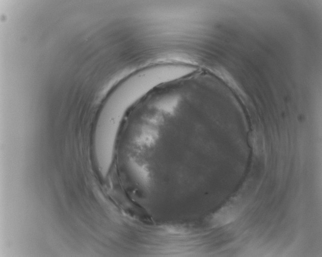 X0000061150434200512092003