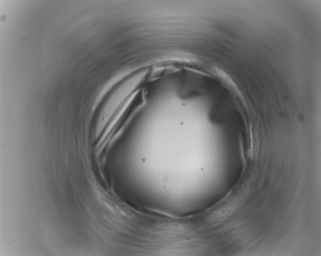 X0000061150435200512092003