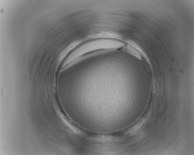 X0000061150437200512092003