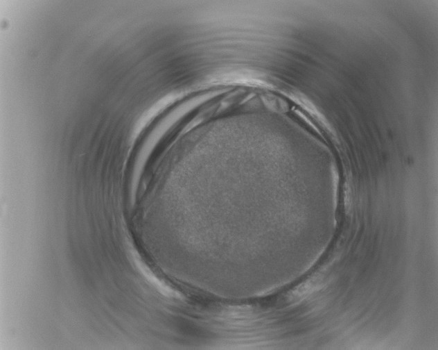 X0000061150438200512092003