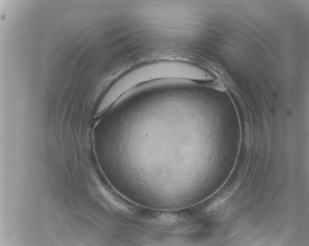 X0000061150441200512092003