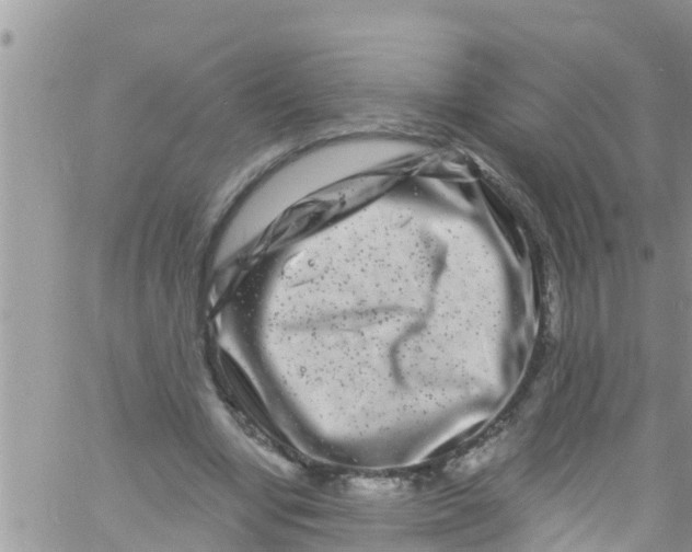 X0000061150442200512092003