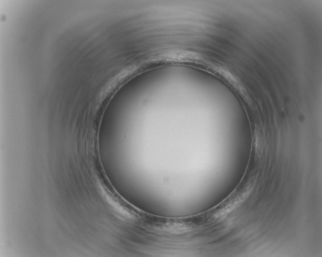 X0000061150445200512092003